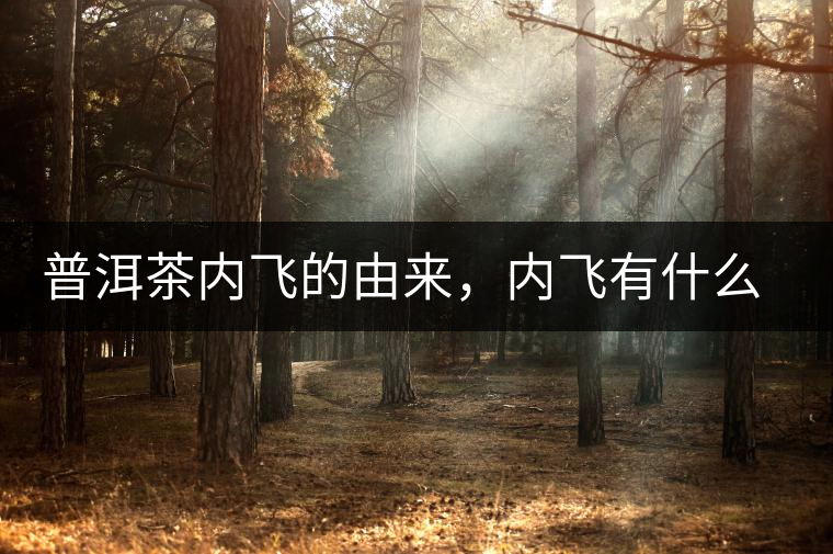 普洱茶內(nèi)飛的由來，內(nèi)飛有什么作用？