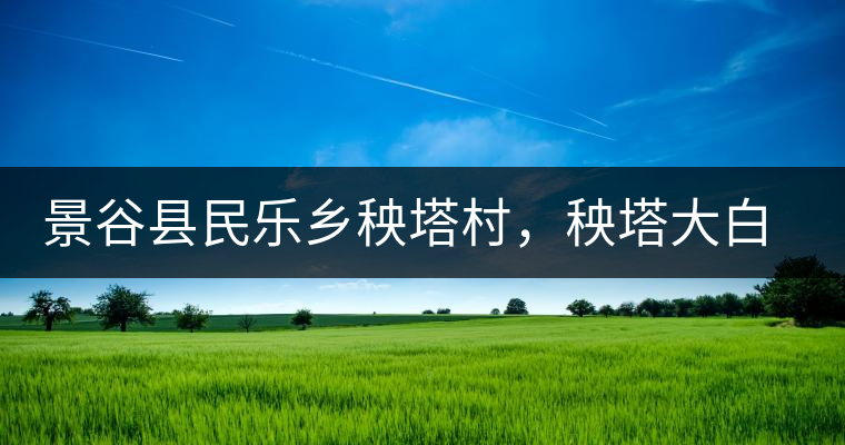 景谷縣民樂鄉(xiāng)秧塔村,秧塔大白茶口感特點 景谷縣民樂鄉(xiāng)秧塔村,秧塔大白茶口感特點