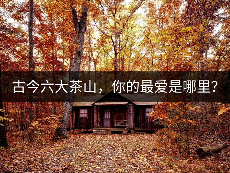 古今六大茶山，你的最?lèi)?ài)是哪里？