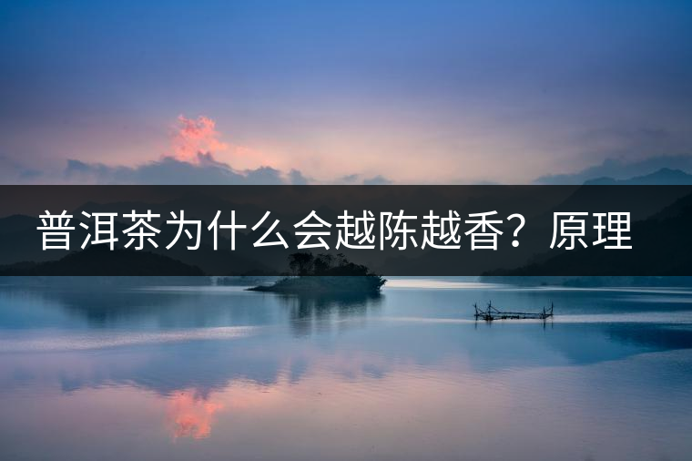 普洱茶為什么會(huì)越陳越香？原理是什么？