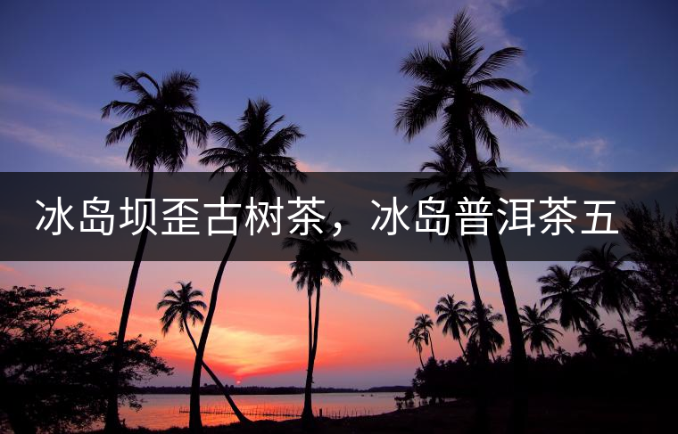 冰島壩歪古樹茶，冰島普洱茶五寨之一