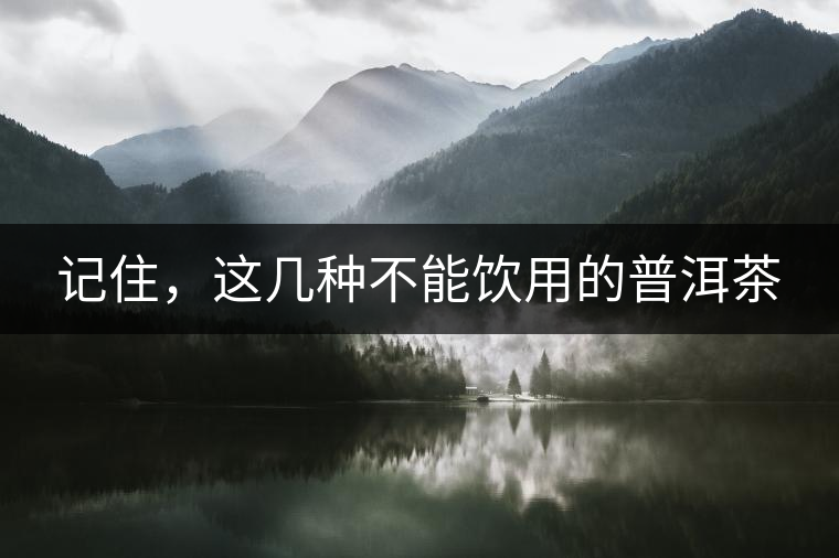 記住，這幾種不能飲用的普洱茶