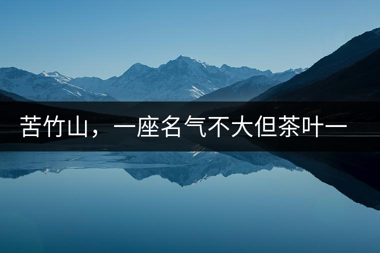 苦竹山，一座名氣不大但茶葉一流的古茶山