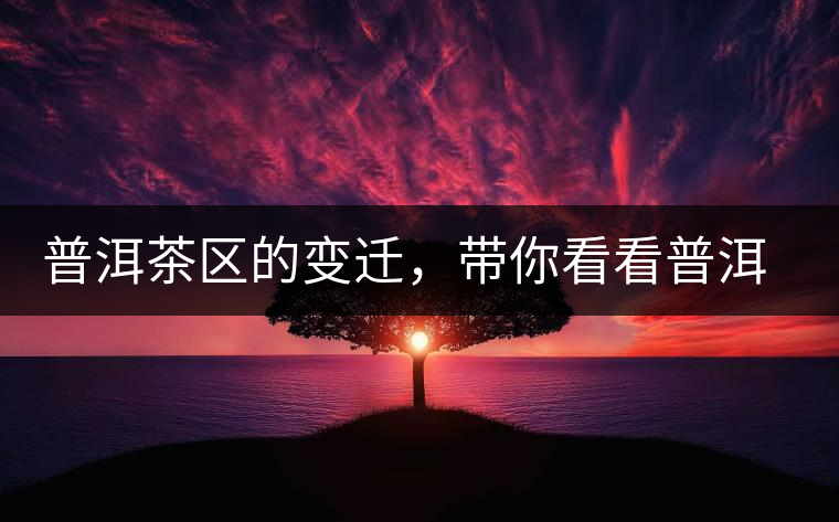 普洱茶區(qū)的變遷，帶你看看普洱茶地域分布