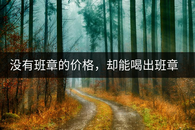 沒有班章的價格，卻能喝出班章的感覺