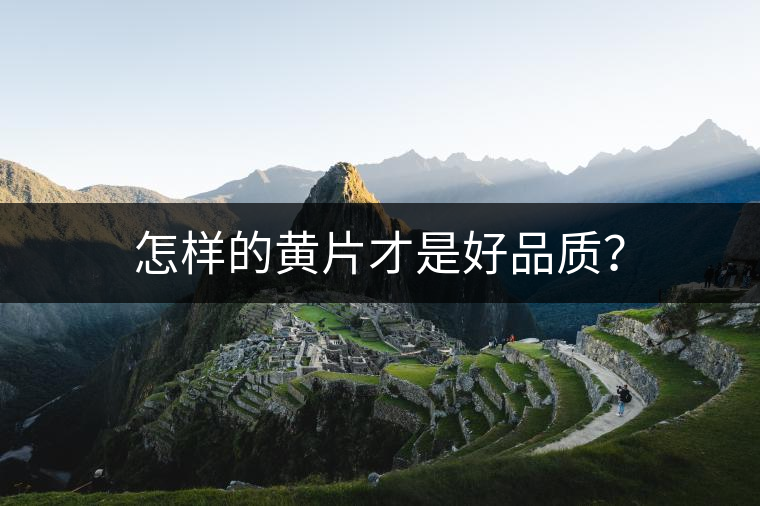 怎樣的黃片才是好品質(zhì)？