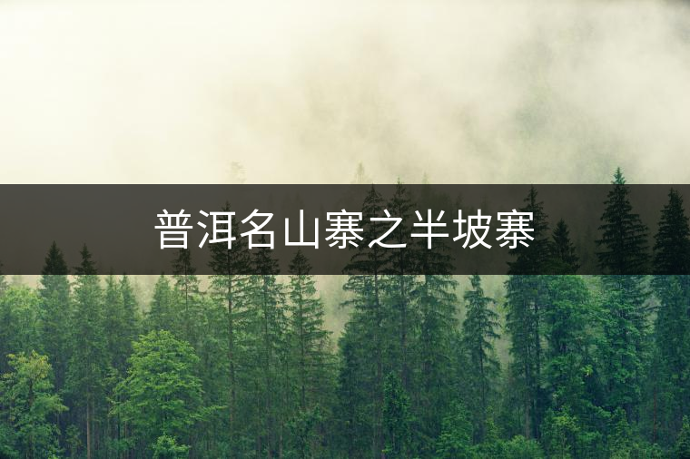 普洱名山寨之半坡寨