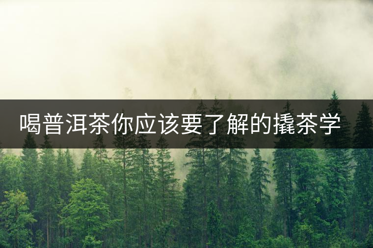 喝普洱茶你應該要了解的撬茶學問