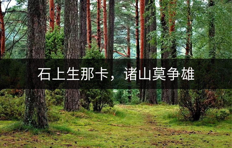 石上生那卡，諸山莫爭雄