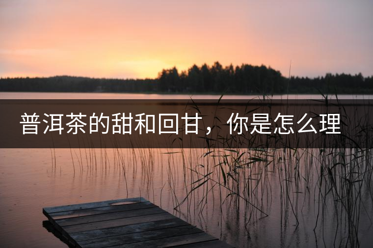 普洱茶的甜和回甘，你是怎么理解的？