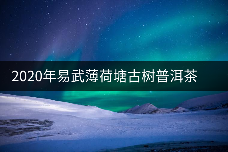 2020年易武薄荷塘古樹普洱茶特點，價格又上漲了嗎？