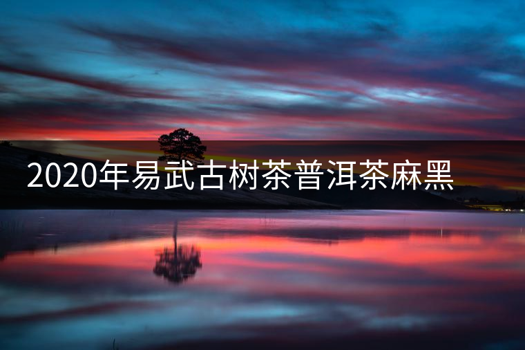 2020年易武古樹茶普洱茶麻黑春茶特點(diǎn)和價格