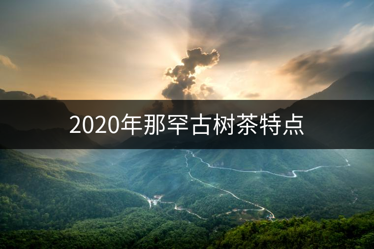 2020年那罕古樹茶特點