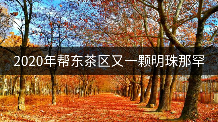 2020年幫東茶區(qū)又一顆明珠那罕 2020年幫東茶區(qū)又一顆明珠那罕