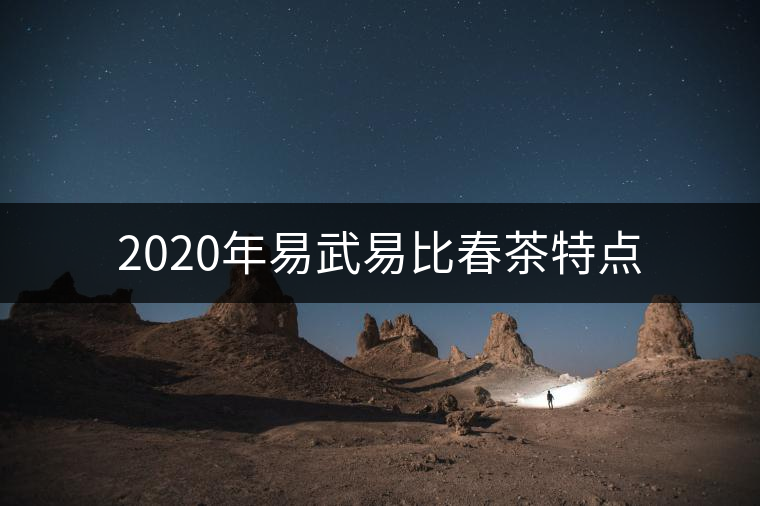 2020年易武易比春茶特點