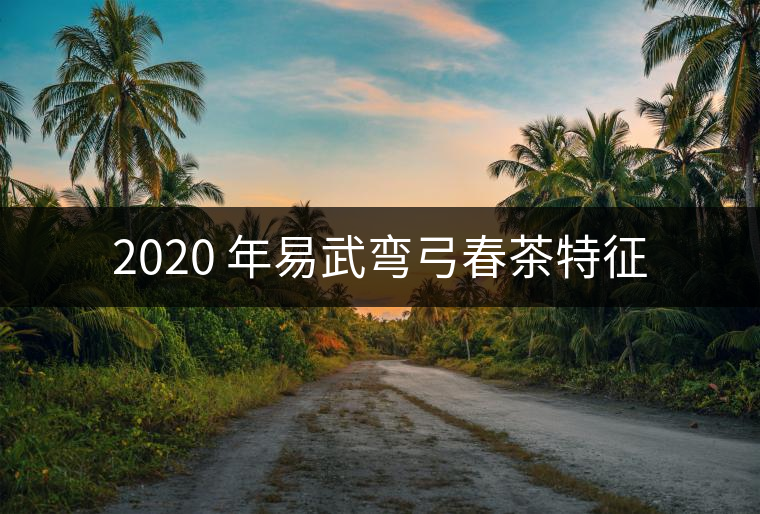 2020 年易武彎弓春茶特征 2020 年易武彎弓春茶特征