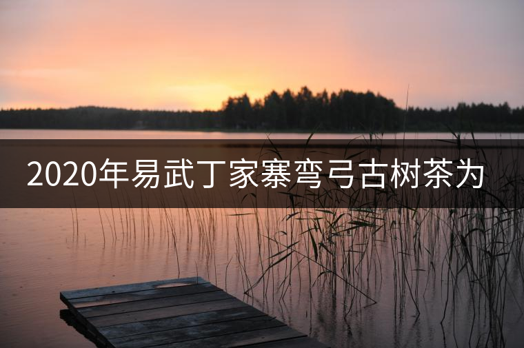 2020年易武丁家寨彎弓古樹茶為什么這么受追捧！