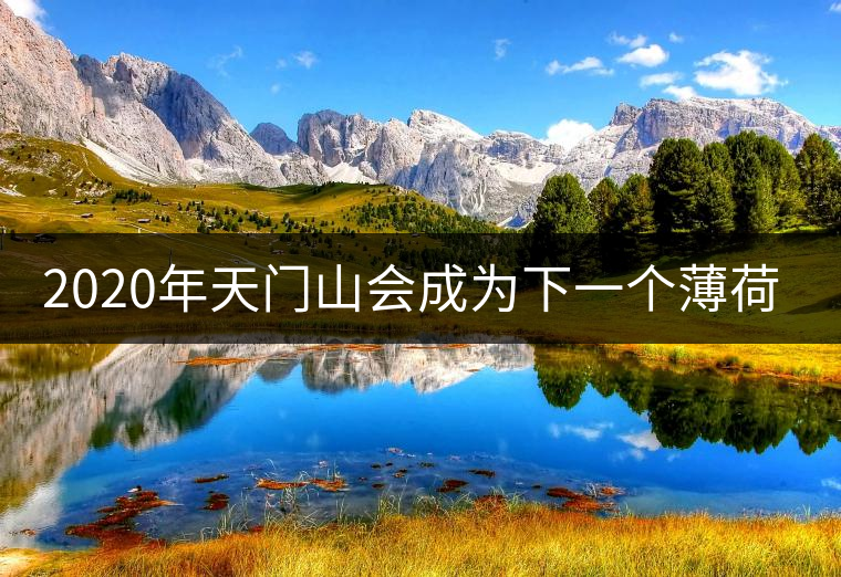 2020年天門山會成為下一個薄荷塘嗎？