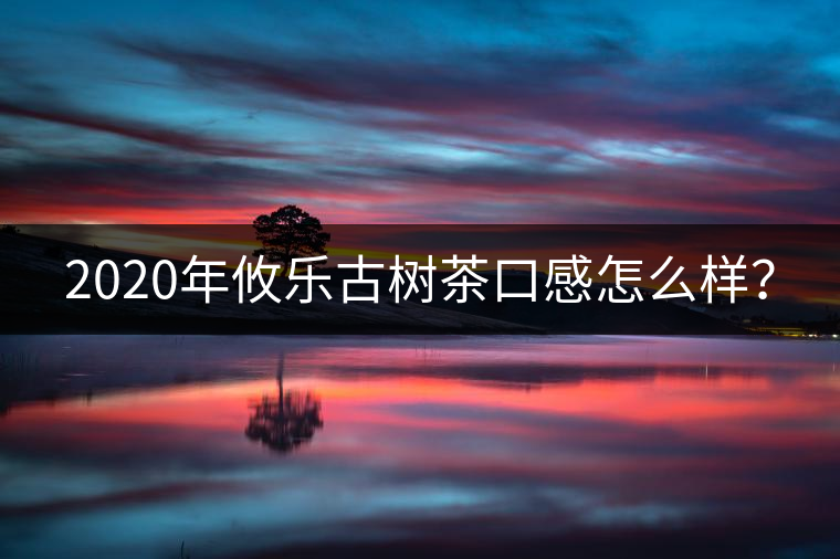 2020年攸樂古樹茶口感怎么樣？