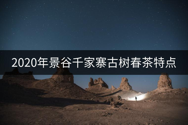 2020年景谷千家寨古樹春茶特點 2020年景谷千家寨古樹春茶特點