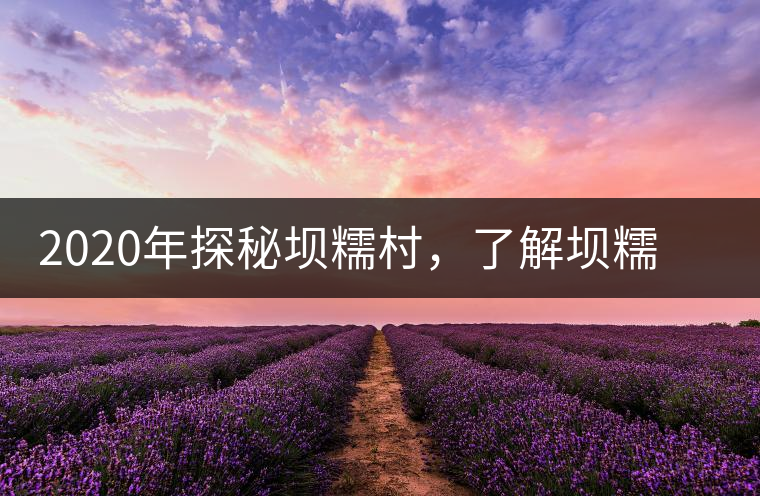 2020年探秘壩糯村，了解壩糯藤條茶的真相