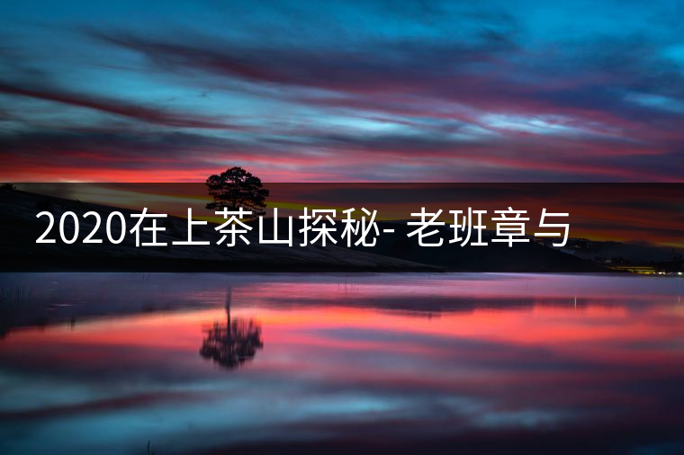 2020在上茶山探秘- 老班章與新班章，一母所生，一念之間，際遇迥異