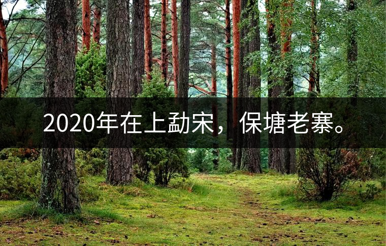 2020年在上勐宋，保塘老寨。