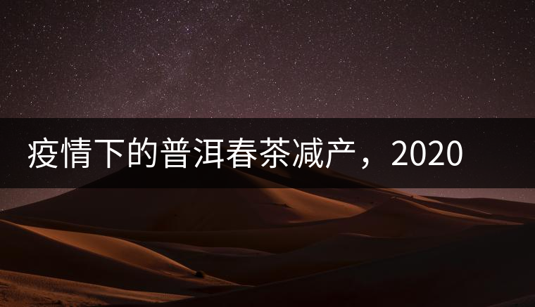 疫情下的普洱春茶減產(chǎn)，2020年價(jià)格“兩極分化”或成常態(tài)？