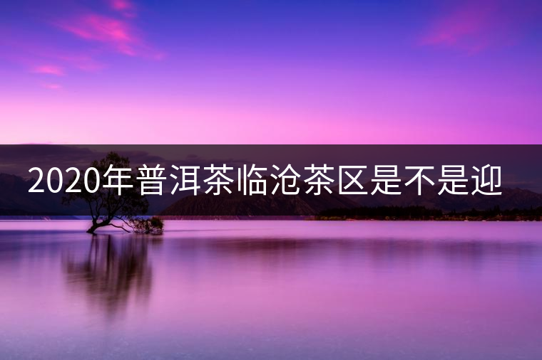 2020年普洱茶臨滄茶區(qū)是不是迎來(lái)最好機(jī)遇？