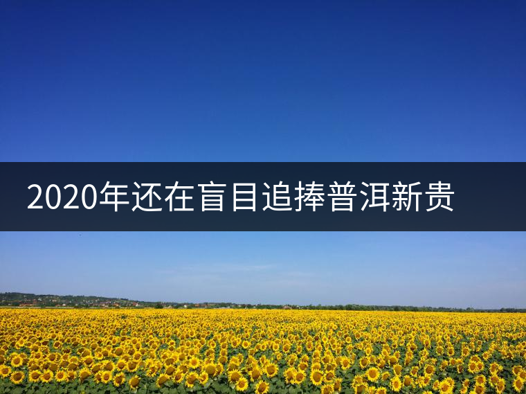 2020年還在盲目追捧普洱新貴“貓耳朵”？我們深入產(chǎn)區(qū)為你揭示最真實(shí)的“貓耳朵”！