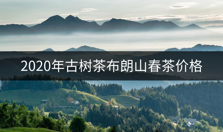 2020年古樹茶布朗山春茶價格 2020年古樹茶布朗山春茶價格