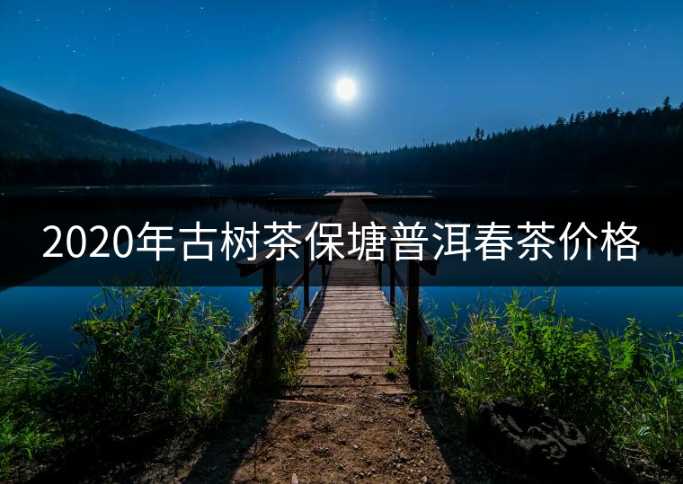 2020年古樹(shù)茶保塘普洱春茶價(jià)格 2020年古樹(shù)茶保塘普洱春茶價(jià)格