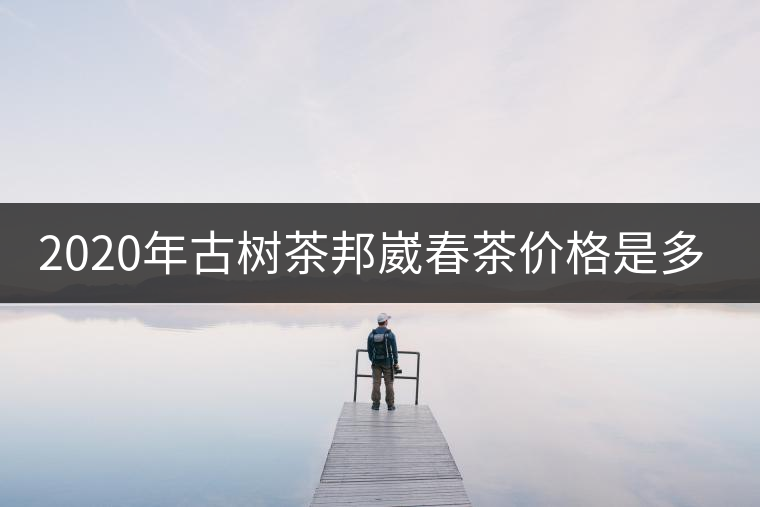 2020年古樹茶邦崴春茶價(jià)格是多少？