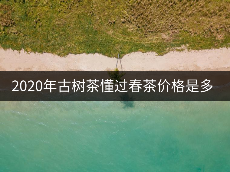 2020年古樹茶懂過春茶價(jià)格是多少？