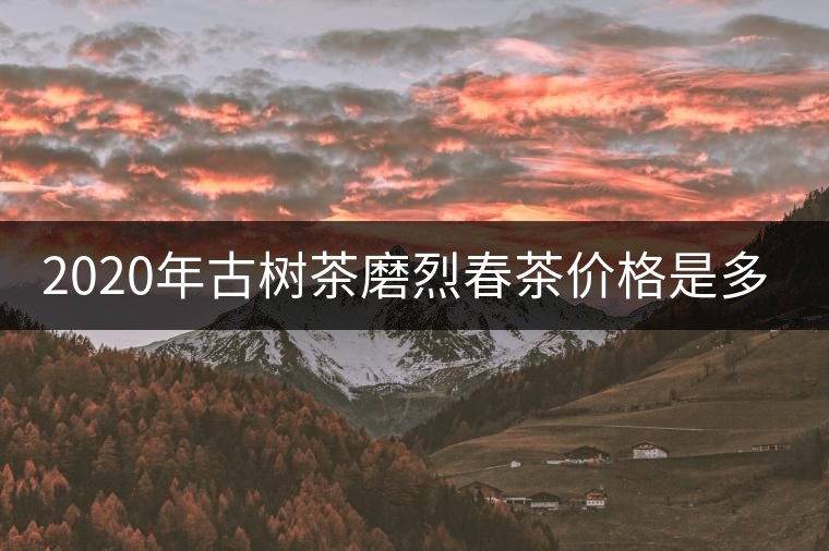 2020年古樹茶磨烈春茶價(jià)格是多少？