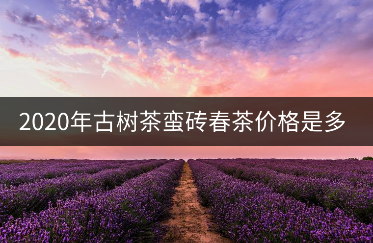 2020年古樹(shù)茶蠻磚春茶價(jià)格是多少？
