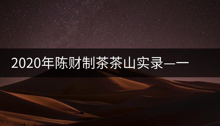 2020年陳財制茶茶山實錄—一手提7山，感受小產(chǎn)區(qū)的奧秘