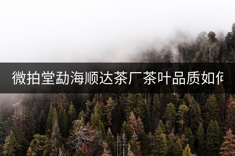 微拍堂勐海順達(dá)茶廠(chǎng)茶葉品質(zhì)如何? 微拍堂勐海順達(dá)茶廠(chǎng)茶葉品質(zhì)如何?