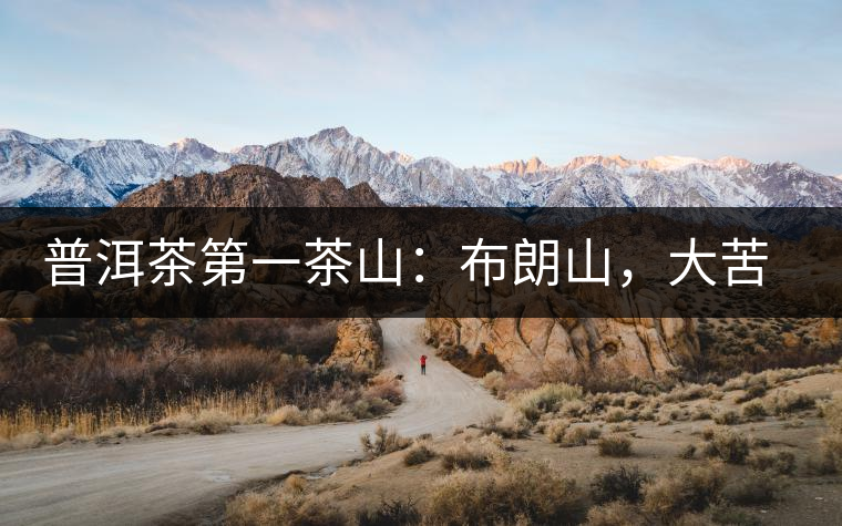 普洱茶第一茶山：布朗山，大苦大甘是它的魂