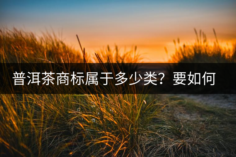 普洱茶商標(biāo)屬于多少類？要如何注冊(cè)