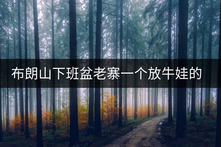 布朗山下班盆老寨一個放牛娃的普洱心