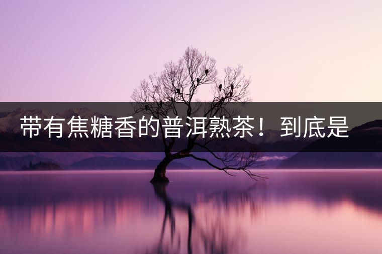 帶有焦糖香的普洱熟茶！到底是好是壞？