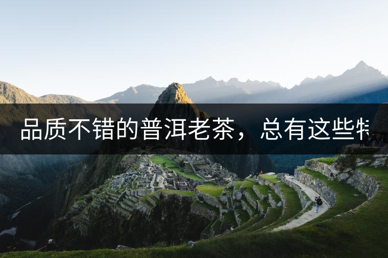 品質(zhì)不錯的普洱老茶，總有這些特點！