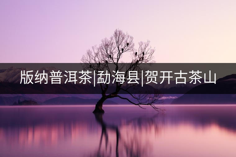 版納普洱茶|勐?？h|賀開(kāi)古茶山