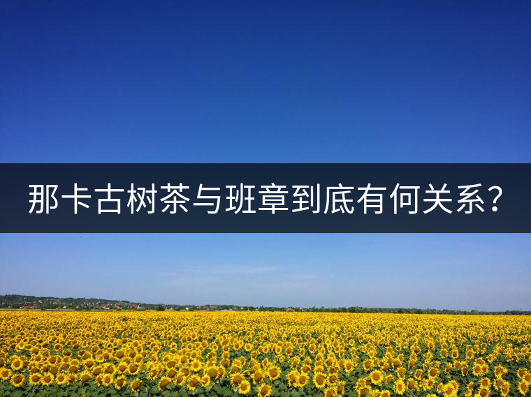 那卡古樹茶與班章到底有何關(guān)系？