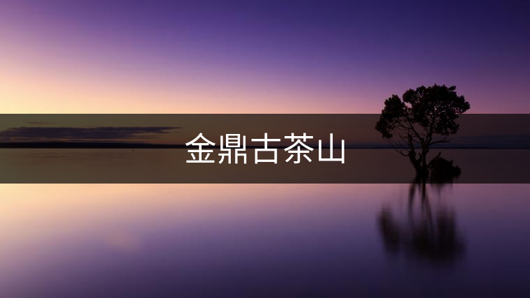金鼎古茶山