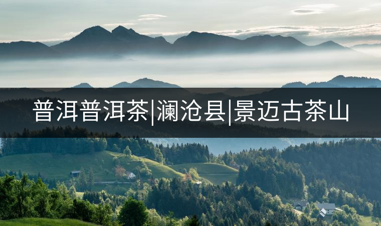普洱普洱茶|瀾滄縣|景邁古茶山