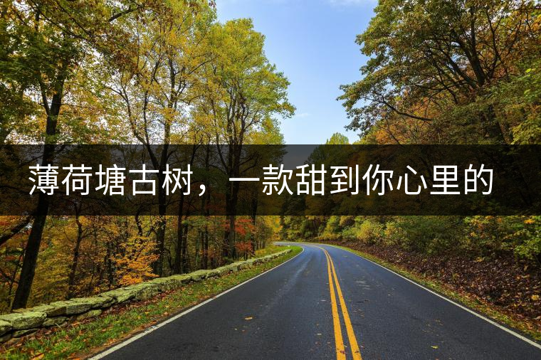 薄荷塘古樹(shù)，一款甜到你心里的普洱茶