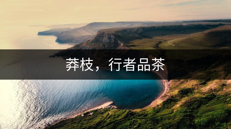 莽枝，行者品茶