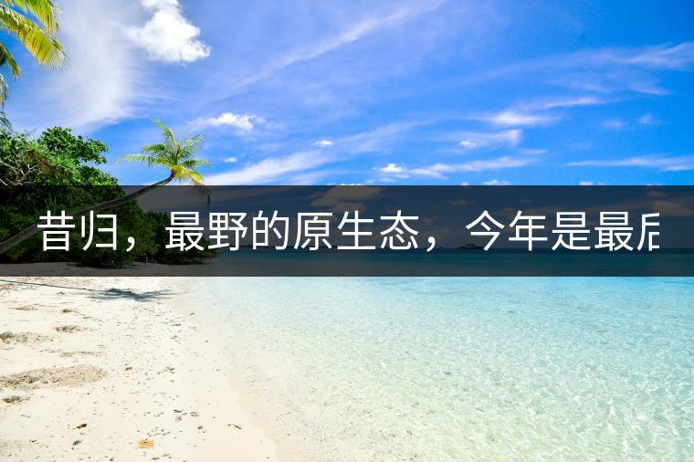 昔歸，最野的原生態(tài)，今年是最后一年了！